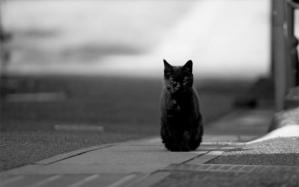 #DobrogeaDigitală Superstițiile la români