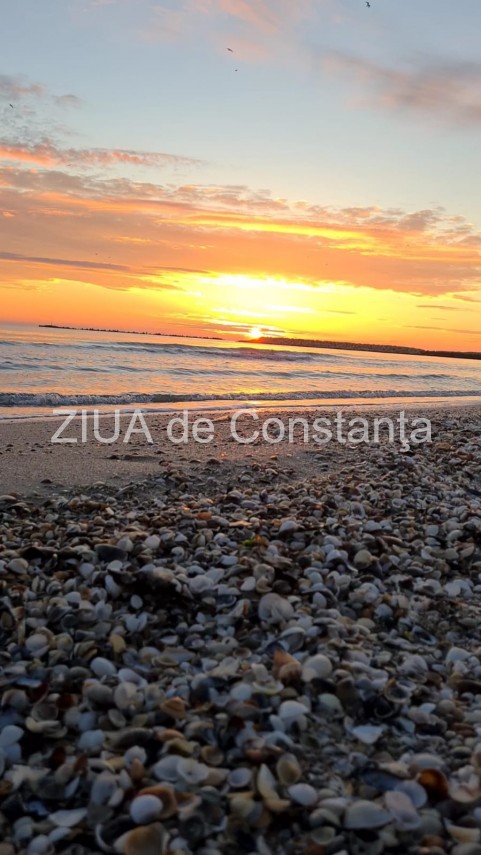 constanta baie in mare la rasarit pe 1 ianuarie video 736812
