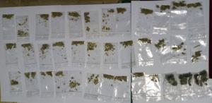 Tânăr prins cu 37 de pliculețe de substanță vegetală, în zona Anda din Constanța