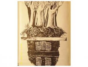 #DobrogeaDigitală Printre vestigii, cu „ustensilele științelor exacte”  