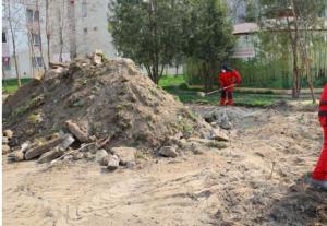 Guvernul Cîțu a stabilit câți lucrători străini vor fi admiși să muncească în România în 2021