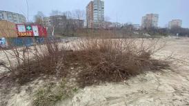 Constănțeanul supărat. Locuitorii din Faleză Nord atrag atenția că plaja din cartier este sufocată de gunoaie (galerie foto)