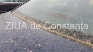 Transport de praf saharian deasupra României. Care este traseul și cum va fi monitorizat