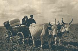 #DobrogeaDigitală „Să ne dăm mâna pentru a săvîrşi o operă caritabilă şi multe rane se vor vindeca”   