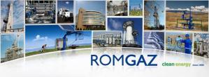 Fost prefect de Constanța în Consiliul de Administrație al Romgaz. Din ce comitet face parte 