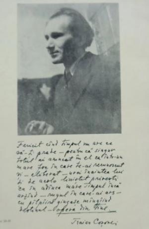 #citește Dobrogea Centenar Traian Coșovei  