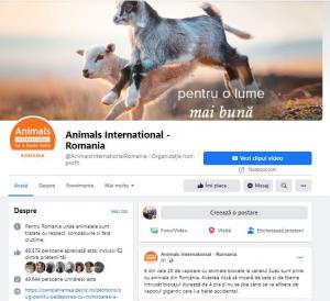 Animal International-România Nouă din cele 20 de vapoare cu animale blocate la Canalul Suez sunt pline cu animale din România