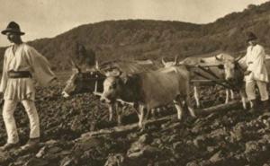 #DobrogeaDigitală Împroprietărirea și „oropsita chestiune a veteranilor” 