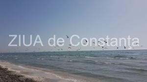 Poezia zilei Circuit- Valentina Popescu 