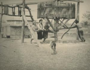 #DobrogeaDigitală „Mai înțelegător cu aproapele său”