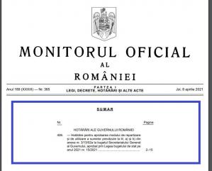Cum a repartizat Guvernul sumele destinate sprijinirii organizațiilor cetățenilor aparținând minorităților naționale 