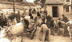 #DobrogeaDigitală „Morţilor din birouri, treziţi-vă, căci ţara trăieşte!”             