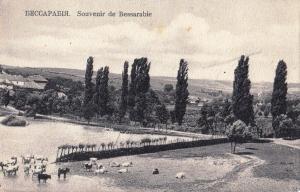 #DobrogeaDigitală „Un festival, asemeni celui al corbilor, în faţa pradei lor”