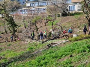 Amplă acțiune de plantare de copaci la Constanța! Unde au loc evenimentele (galerie foto)     