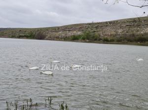 Poezia zilei Renaștere – Valentina Popescu 