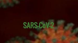 Raed Arafat a semnat patru ordine pentru prelungirea măsurii de carantină zonală în mai multe localități din Ilfov 