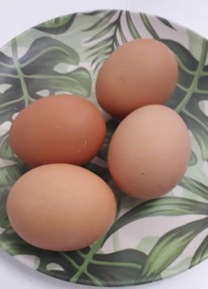 Ouăle, în topul alimentelor recomandate pentru slăbire