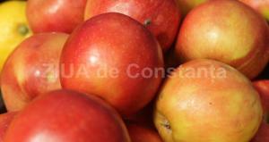 Doar 8,4% dintre români urmează un regim alimentar adecvat şi numai 11,6% fac sport