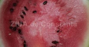 centrulnatura.ro Pepenele roşu, de ajutor în reducerea durerilor musculare  