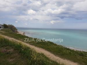 Poezia zilei Evoluție – Valentina Popescu