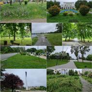 Fotoreportaj Turul parcurilor constănțene. Unde a crescut iarba cel mai mult? 