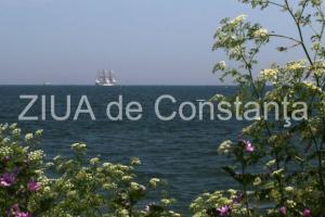 Poezia zilei Doamnei B- Valentina Popescu  