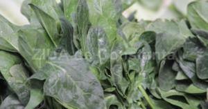 Centrulnatura.ro Informații despre nutriție de la maeștri