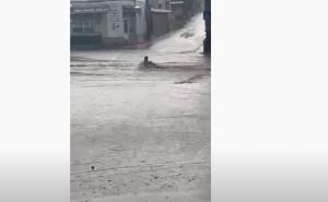 VIDEO Femeie, luată de viitură, la Medgidia