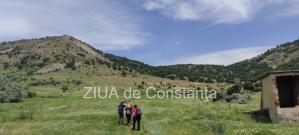 centrulnatura.ro Frica de nou și agățarea de „tradiție”  