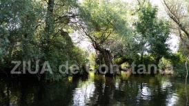 #citeșteDobrogea Sulina, file de poveste (II) - Scurt istoric al așezării. Mărturii orientale și occidentale din Evul Mediu 