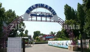 Sondaj de opinie Delfinariul, cel mai vizitat obiectiv turistic de pe litoral în această vară    