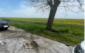 Județul Constanța. Accident rutier grav. O mașină a intrat într-un copac. O victimă  
