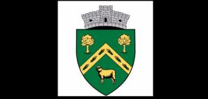 A fost aprobată stema comunei Dumbrăveni-județul Constanța. Din ce se compune și ce reprezintă elementele însumate