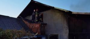 Incendiu la o casă de închiriat din Jurilovca-județul Tulcea. Cinci turiști au ajuns la spital. Forțe impresionante la intervenție (galerie foto)    