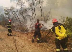 Grecia. Incendiu violent de vegetație uscată în centrul insulei Evia