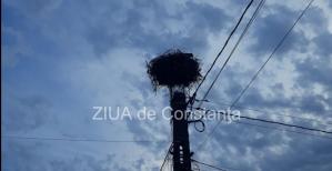 Cod Galben de ploi în Dobrogea. Descărcări electrice, averse, vijelii, și grindină   