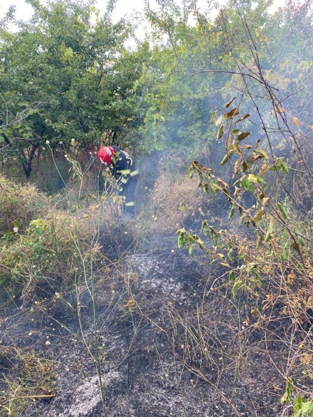 trei incendii produse in mai putin de o ora in judetul tulcea galerie foto 756350 trei incendii produse in mai putin de o ora in judetul tulcea galerie foto 756350