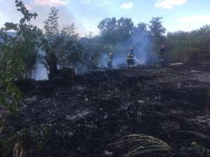 Județul Tulcea Incendii de vegetație, în mai multe localități. Pompierii s-au luptat cu flăcările