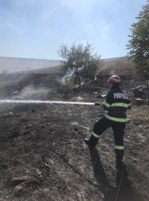 incendiu pe raza municipiului tulcea pentru ce au fost chemati pompierii galerie foto 757809