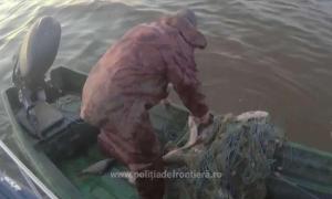 Tulcea Bărbat, prins în flagrant cu 300 metri de plase neautorizate și 30 kg de pește