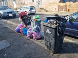Sancțiuni aspre pentru constănțenii care aruncă gunoiul la întâmplare