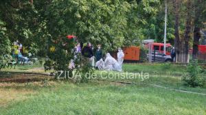 Medic Spitalul de Boli Infecțioase Constanța „Dorim să păstrăm încrederea cetățenilor acestui oraș“ 