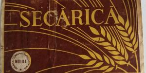 GatroArt.ro Scurt tratat despre secărică