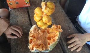 Centrulnatura.ro Chempedak, este o sursă foarte bună de energie, are acțiuni anti-hipertensive și anti-canceroase  