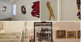 Vernisajul expoziției „Body Parts“ a artistului Dumitru Gorzo, la Muzeul de Artă Constanța (galerie foto+video)       