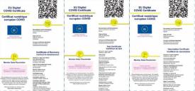 Sondaj de opinie Sunteți de acord ca Certificatul verde să devină obligatoriu?   