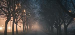 Cod galben de ceață pentru Județul Constanța