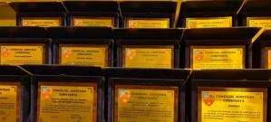 Care sunt instituțiile premiate de CJC cu ocazia Zilei Dobrogei (galerie foto)