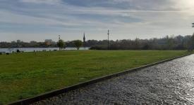 Institutul pentru Sănătate Globală din Barcelona a așezat Constanța la coada clasamentului din perspectiva vegetației și spațiilor verzi 