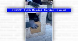 Cât primea șoferul unui tir pentru un transport  Detalii exclusive din dosarul drogurilor de peste 71 de milioane de euro descoperite în Portul Constanța! (DOCUMENT + VIDEO)   